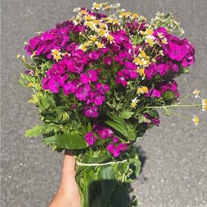 Meet your Posher, Becky